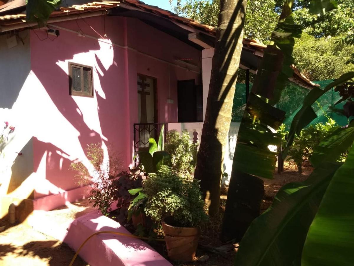 Apartamento Agonda Pink House Canacona Exterior foto